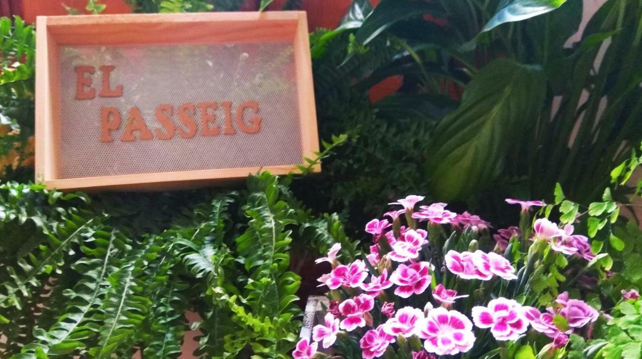 El Passeig Apartment Villafames Bagian luar foto